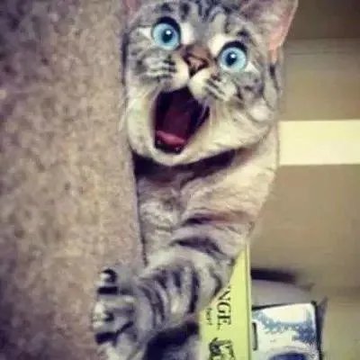 有什么霸气的情侣头像？