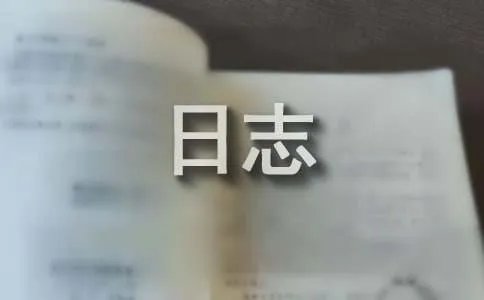 情感日志