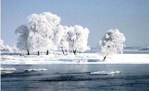 诗句;忽如一夜春风来,千树万树梨花开的意思是什么?