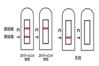 新冠抗原抗体检测结果怎么看