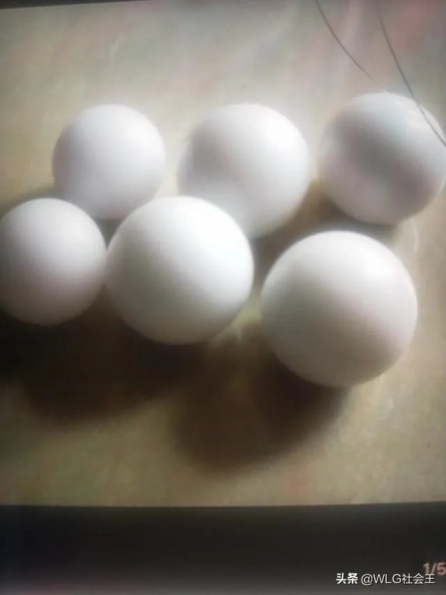 雮尘珠真实存在吗