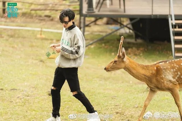 《亲爱的客栈》第二季,为何话题与收视率节节败退?