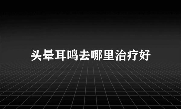 头晕耳鸣去哪里治疗好