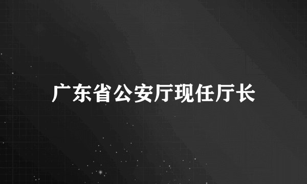 广东省公安厅现任厅长