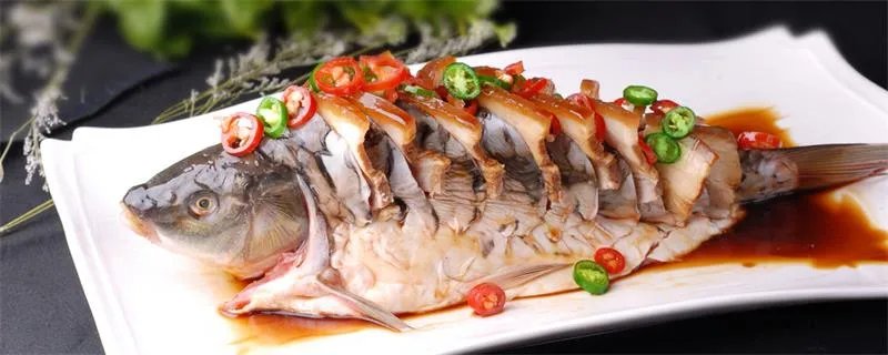 鲈鱼是海鱼吗 鲈鱼是不是海鱼