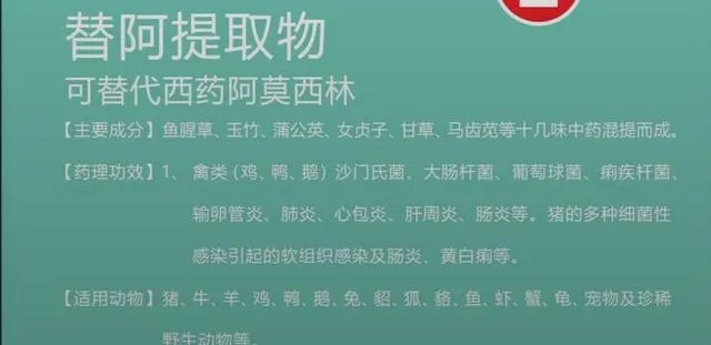 无抗养殖怎么做?