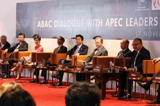 亚太经合组织特点及原因