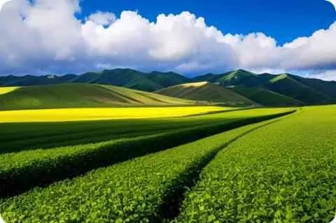 形容独挡一面的成语？