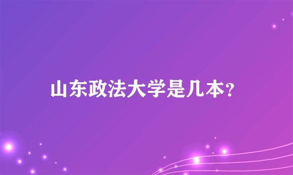 山东政法大学是几本？
