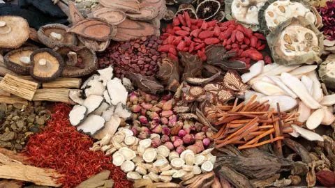 补脾益肠丸的功效