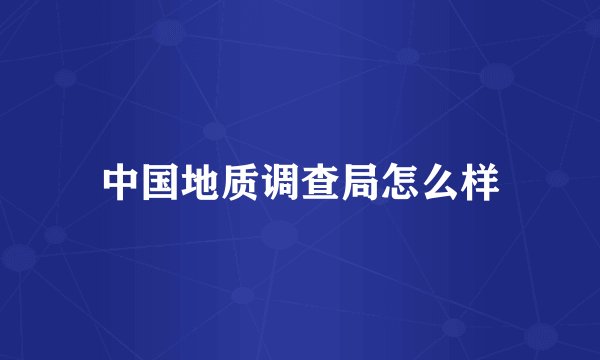 中国地质调查局怎么样