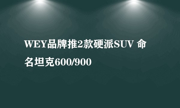 WEY品牌推2款硬派SUV 命名坦克600/900