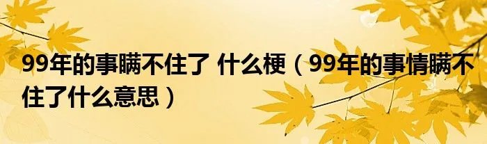 99年的事瞒不住了 什么梗（99年的事情瞒不住了什么意思）