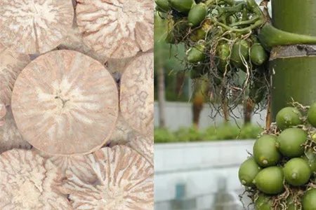 槟榔有什么好处