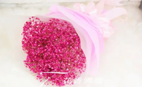 粉色满天星花语和寓意有哪些 粉色满天星适合送什么人