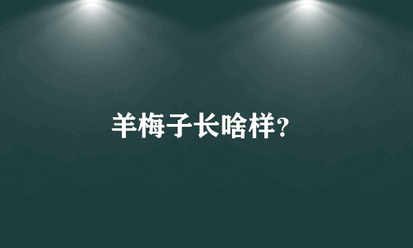 羊梅子长啥样？