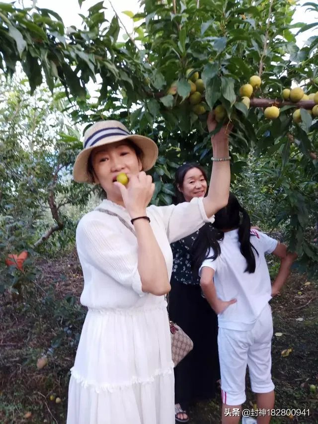 国庆休息这么多天，您会怎么过？