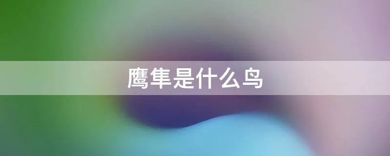 鹰隼是什么鸟