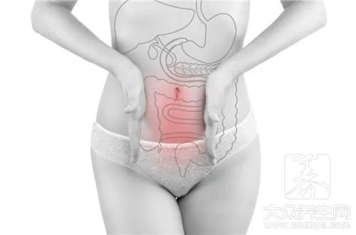 人体器官位置结构图