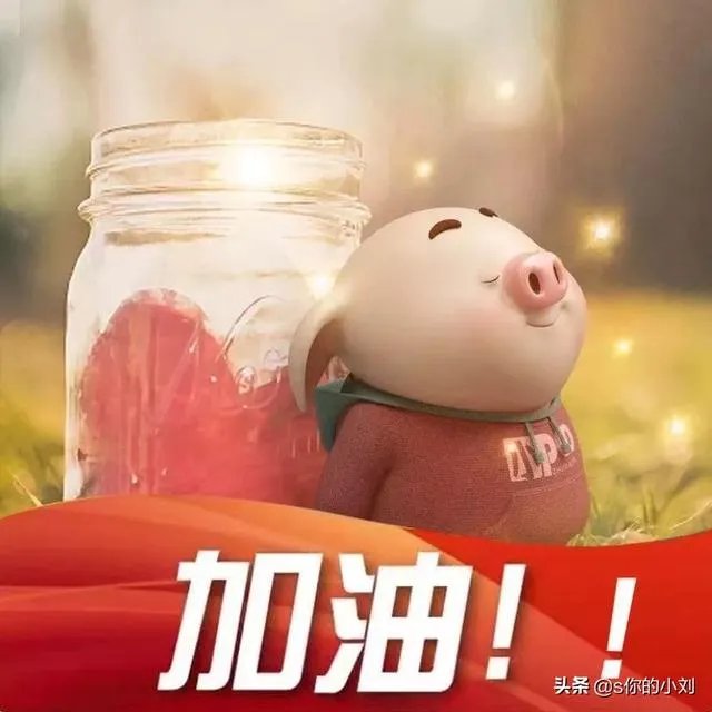 哪里可以看到教师招聘的公告？