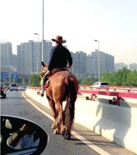 雪天骑马撞人逃逸，我国交通法允许在公路上骑马吗？