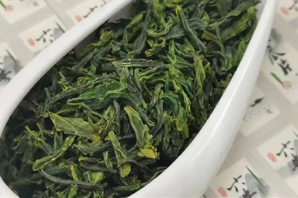 六安瓜片属于什么茶类 六安瓜片是什么香型