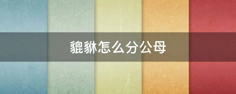 貔貅怎么分公母