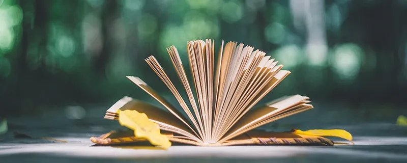 知否知否应是绿肥红瘦什么意思