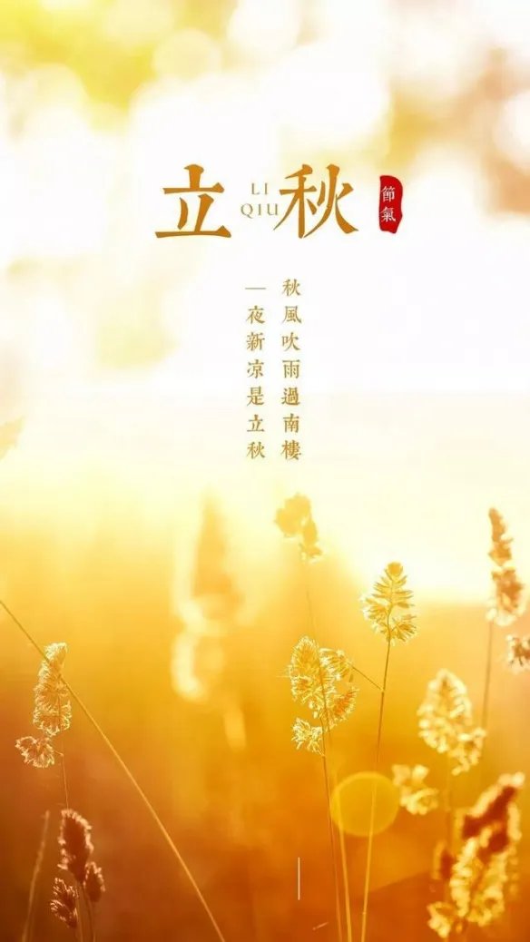 立秋图片2022 立秋图片大全高清唯美带字