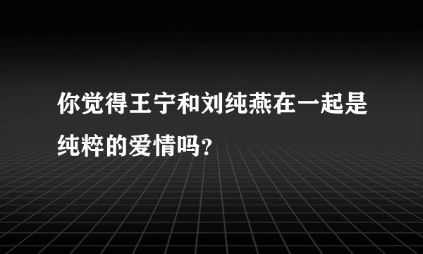 你觉得王宁和刘纯燕在一起是纯粹的爱情吗？
