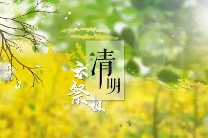 清明节为什么要插柳？清明节插柳枝的意义？