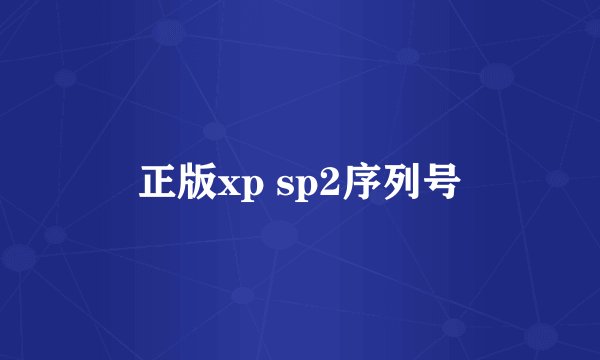 正版xp sp2序列号