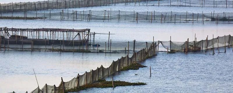 阳澄湖在哪 阳澄湖在什么位置