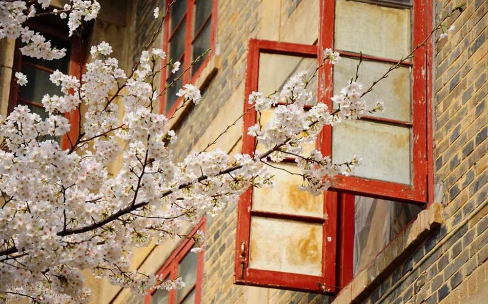 武汉是什么城？昆明是什么城？拉萨是什么城？