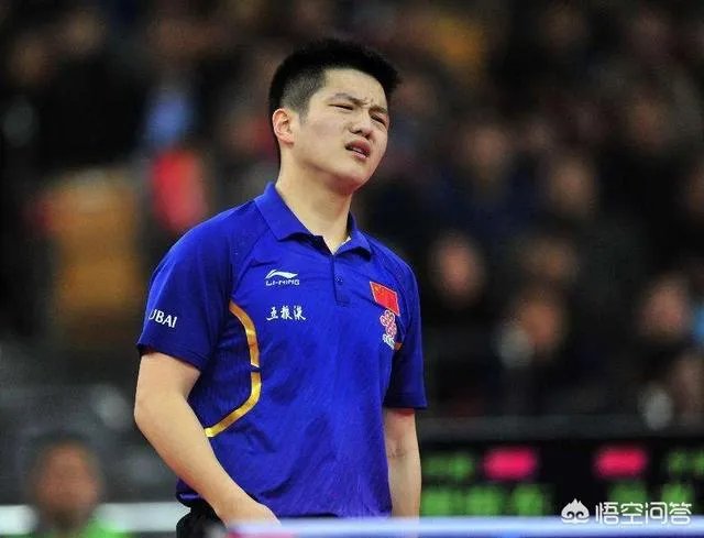 如何评价樊振东？