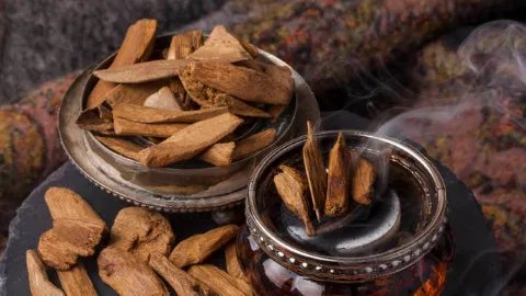 沉香的作用与功效