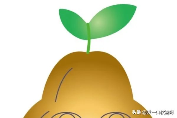 梨子简笔画图片设计?