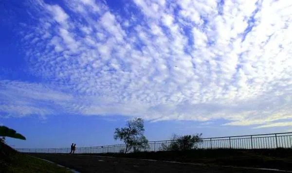 天高云淡的意思是什么？