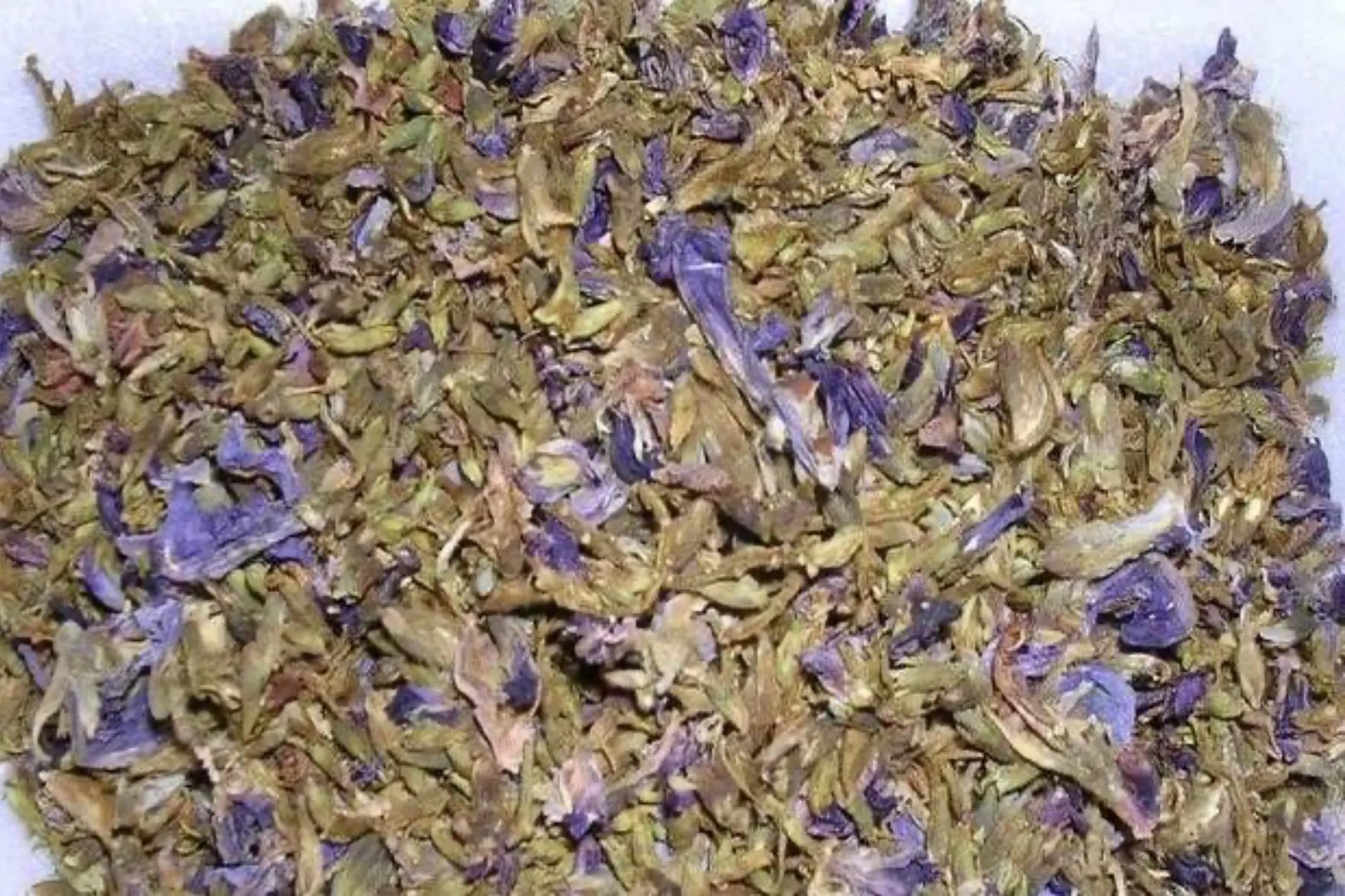 葛花图片及作用与功效