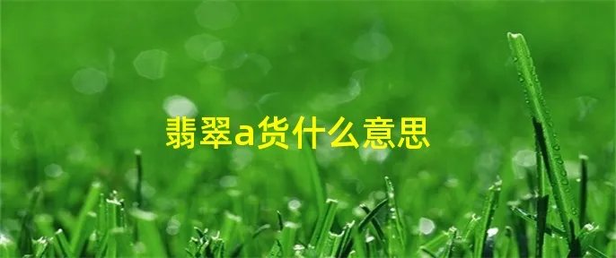 翡翠a货什么意思