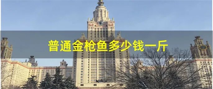 普通金枪鱼多少钱一斤