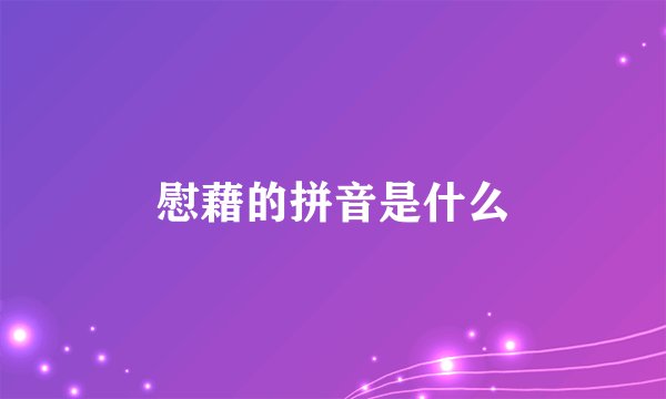 慰藉的拼音是什么