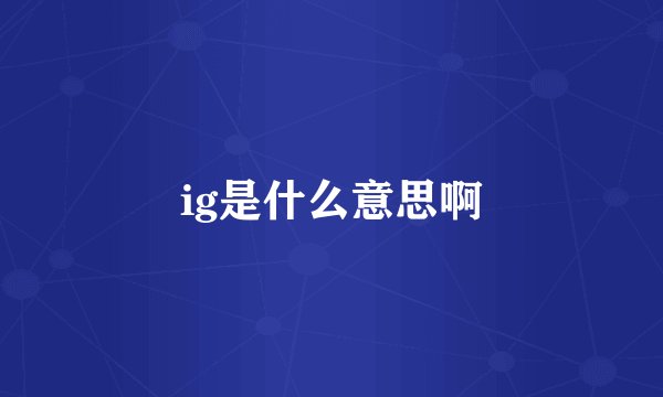 ig是什么意思啊