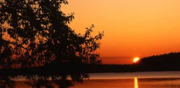 可怜九月初三夜中的可怜是什么意思