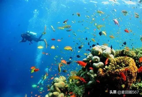 潜水是什么意思？