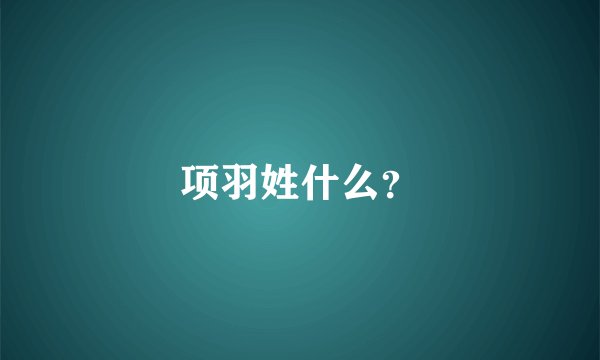 项羽姓什么？