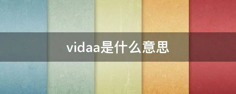 vidaa是什么意思