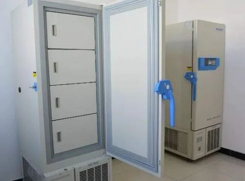 冰箱冷藏室为什么结冰