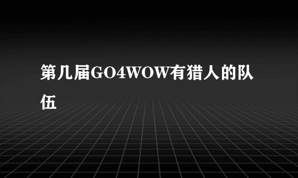 第几届GO4WOW有猎人的队伍