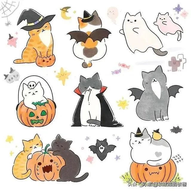 大家有没有小猫咪的图片？